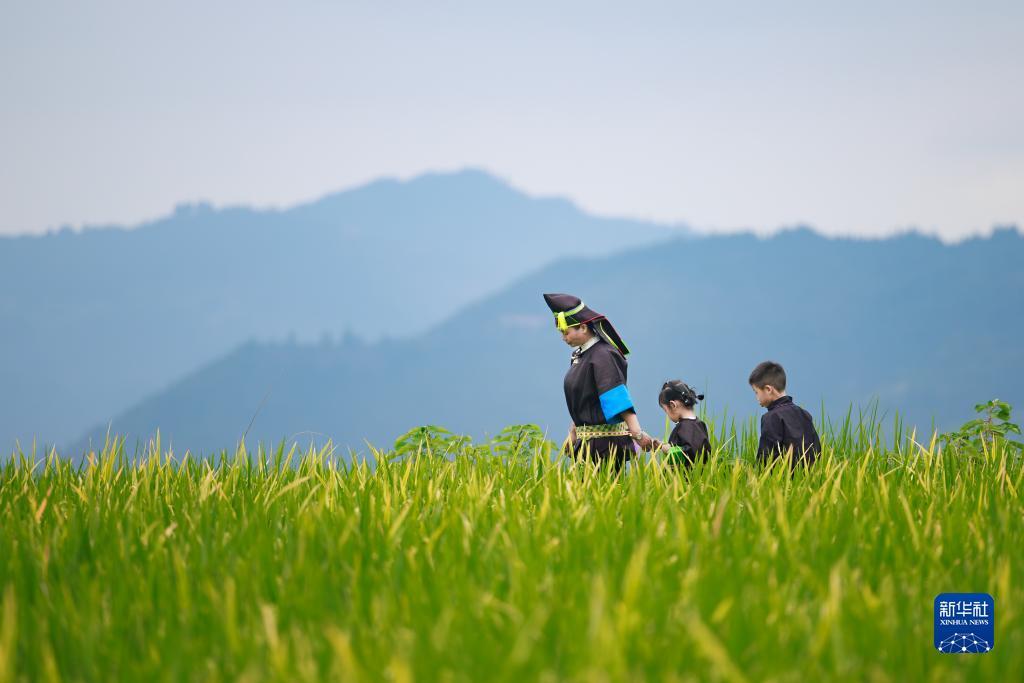 白菜网址大全2018